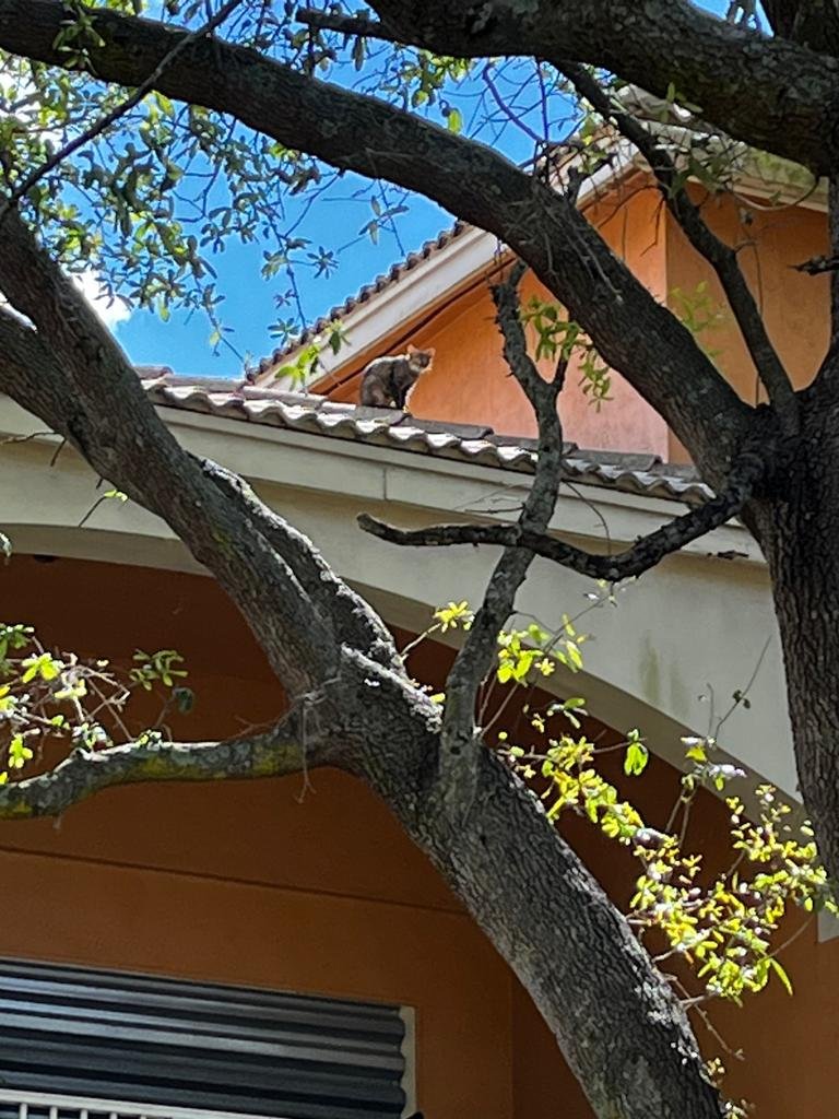 WhatsApp Image 2023-03-02 at 12.11.10 AM